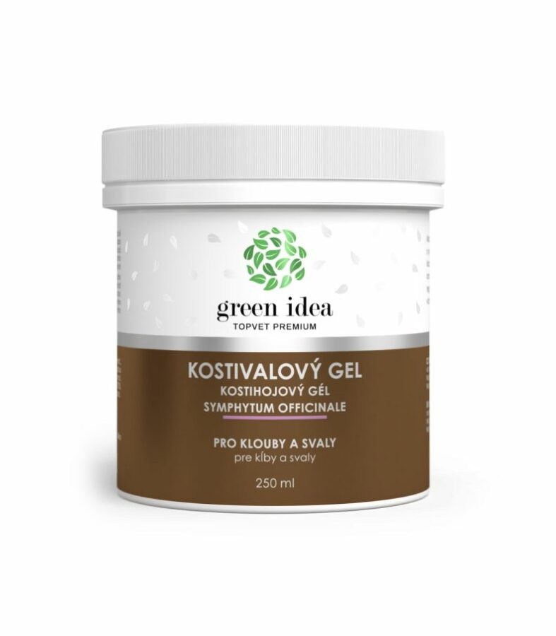 Green idea Kostivalový masážní gel 250 ml
