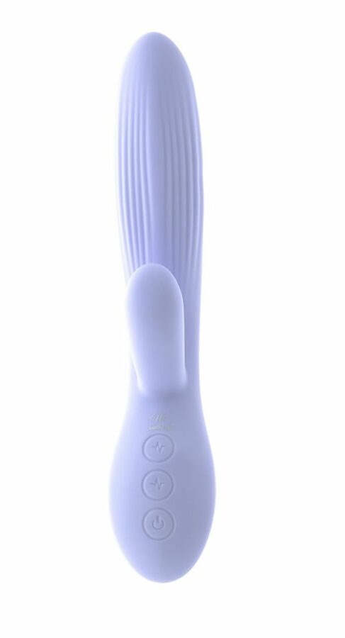 Healthy life Vibrator Rechargeable blue 0602570706