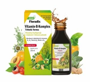 Salus Floradix Vitamin-B-komplex 250 ml