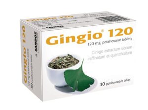 Gingio 120 mg 30 tablet